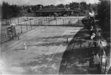 Tenis